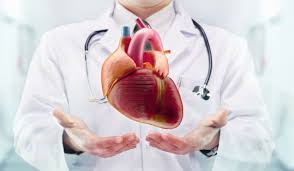 Ümraniye Eğitim ve Araştırma Hastanesi Kalp ve Damar Cerrahisi Doktorları